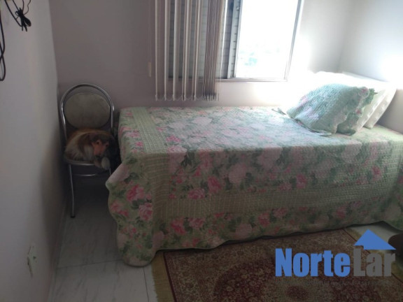 Imagem Apartamento com 2 Quartos à Venda, 55 m² em Parque São Luís - São Paulo