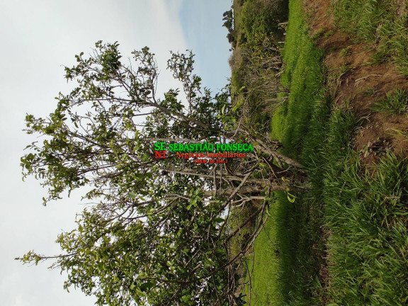Imagem Chácara à Venda, 20.000 m² em área Rural De Caçapava - Caçapava Imagem Chácara à Venda, 20.000 m² em área Rural De Caçapava - Caçapava