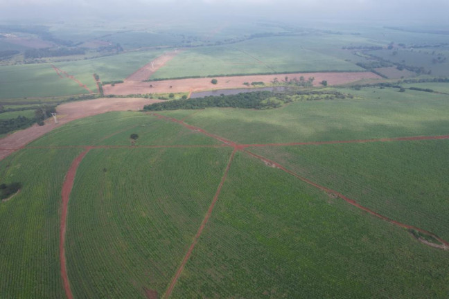 Imagem Fazenda à Venda, 53 m² em Zona Rural - Ipauçu Imagem Fazenda à Venda, 53 m² em Zona Rural - Ipauçu