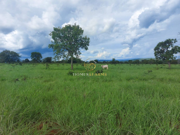Imagem Imóvel com 3 Quartos à Venda, 45.500 m² em Zona Rural - Minaçu Imagem Imóvel com 3 Quartos à Venda, 45.500 m² em Zona Rural - Minaçu