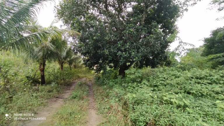 Imagem Terreno à Venda, 5.000 m² em Aldeia Dos Camarás - Camaragibe Imagem Terreno à Venda, 5.000 m² em Aldeia Dos Camarás - Camaragibe