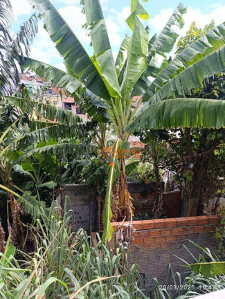 Imagem Sobrado com 1 Quarto à Venda, 125 m² em Jardim Emilia - Guarulhos Imagem Sobrado com 1 Quarto à Venda, 125 m² em Jardim Emilia - Guarulhos