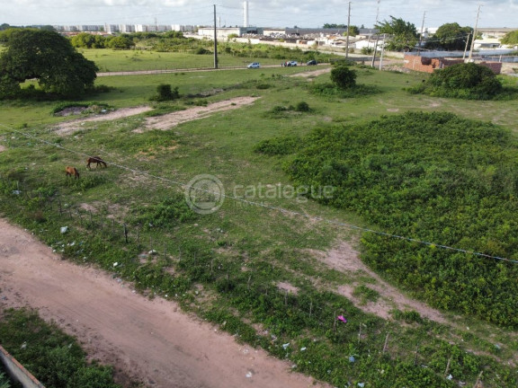 Imagem Terreno à Venda, 170.000 m² em Jardins - São Gonçalo Do Amarante Imagem Terreno à Venda, 170.000 m² em Jardins - São Gonçalo Do Amarante