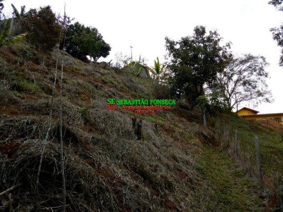 Imagem Chácara à Venda, 2.000 m² em Sob. Consulta - São José Dos Campos Imagem Chácara à Venda, 2.000 m² em Sob. Consulta - São José Dos Campos