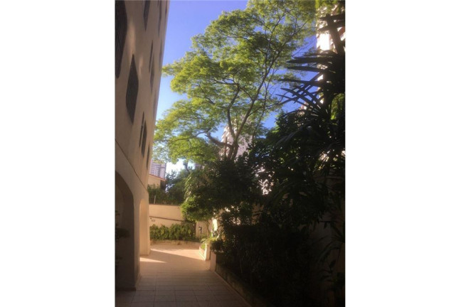 Imagem Imóvel com 3 Quartos à Venda, em Brooklin Paulista - São Paulo Imagem Imóvel com 3 Quartos à Venda, em Brooklin Paulista - São Paulo