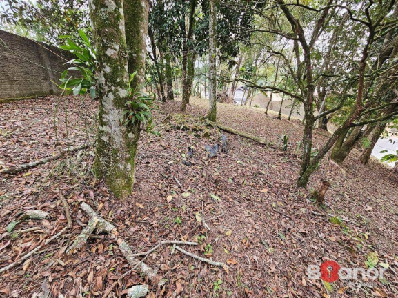 Imagem Terreno à Venda, 1.911 m² em Velha - Blumenau Imagem Terreno à Venda, 1.911 m² em Velha - Blumenau