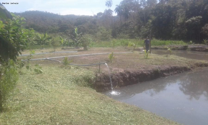 Imagem Chácara com 3 Quartos à Venda, 90 m² em Azurita - Mateus Leme