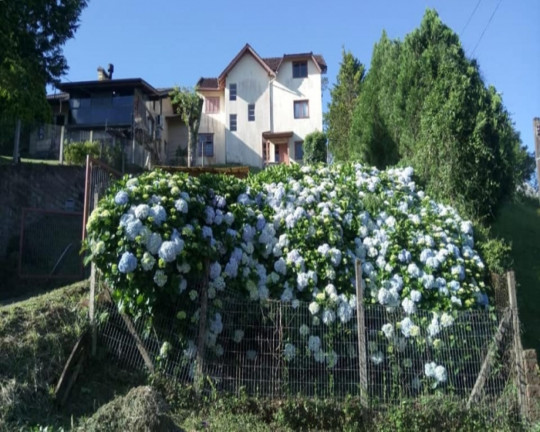 Imagem Imóvel com 2 Quartos à Venda, em Recanto Do Sossego - Nova Petrópolis Imagem Imóvel com 2 Quartos à Venda, em Recanto Do Sossego - Nova Petrópolis