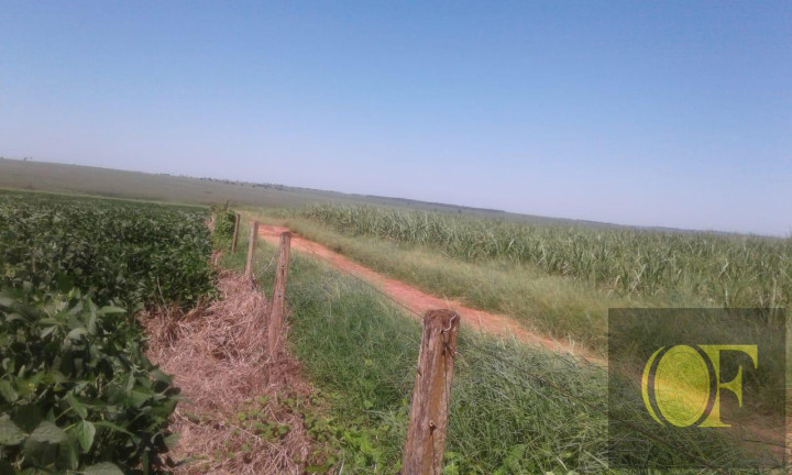 Imagem Fazenda à Venda, 793 m² em Rural - Ivinhema Imagem Fazenda à Venda, 793 m² em Rural - Ivinhema