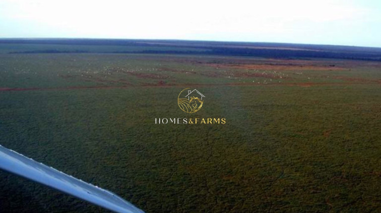 Imagem Imóvel com 4 Quartos à Venda, 103.000 m² em Zona Rural - Porto Alegre Do Norte Imagem Imóvel com 4 Quartos à Venda, 103.000 m² em Zona Rural - Porto Alegre Do Norte