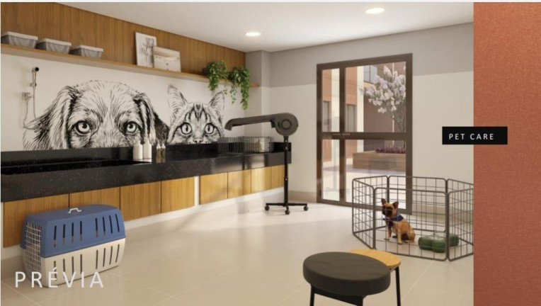 Imagem Apartamento com 1 Quarto à Venda, 31 m² em Santo Cristo - Rio De Janeiro Imagem Apartamento com 1 Quarto à Venda, 31 m² em Santo Cristo - Rio De Janeiro