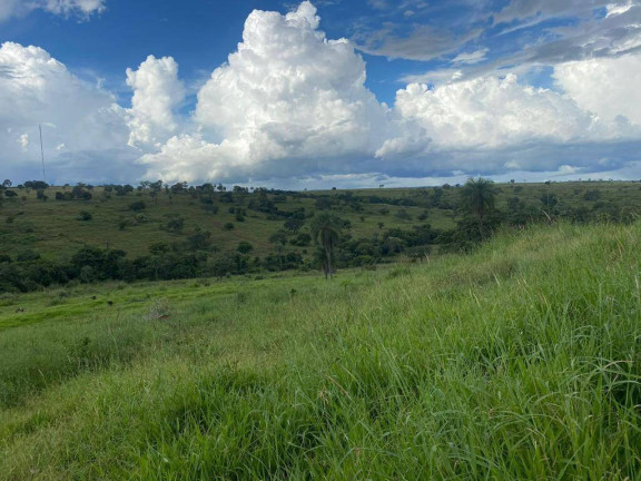 Imagem Fazenda à Venda, em Campinápolis Imagem Fazenda à Venda, em Campinápolis