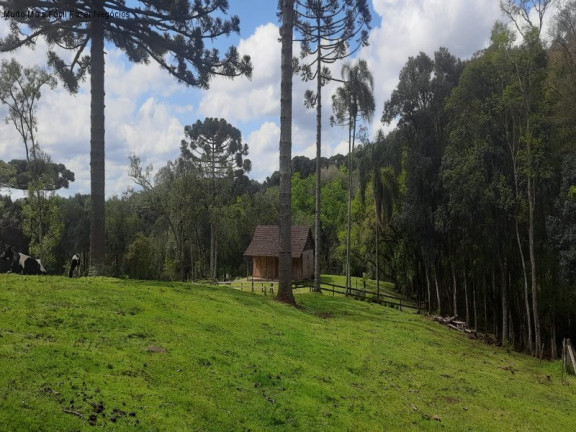 Imagem Terreno à Venda, 2 m² em Linha Imperial - Nova Petrópolis
