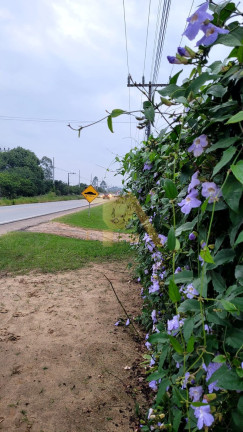 Imagem Terreno à Venda, 80 m² em Araçatuba - Imbituba Imagem Terreno à Venda, 80 m² em Araçatuba - Imbituba
