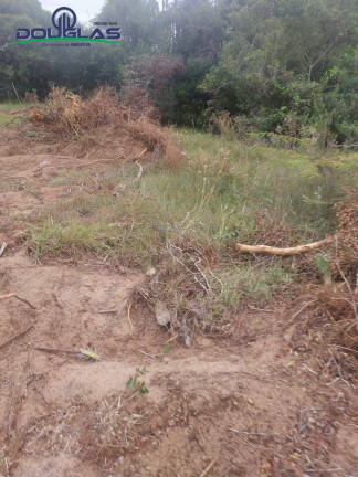 Imagem Imóvel Comercial à Venda, 20.000 m² em Viamão Imagem Imóvel Comercial à Venda, 20.000 m² em Viamão