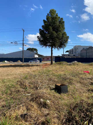 Imagem Terreno à Venda, 150 m² em Vargem Grande - Pinhais Imagem Terreno à Venda, 150 m² em Vargem Grande - Pinhais