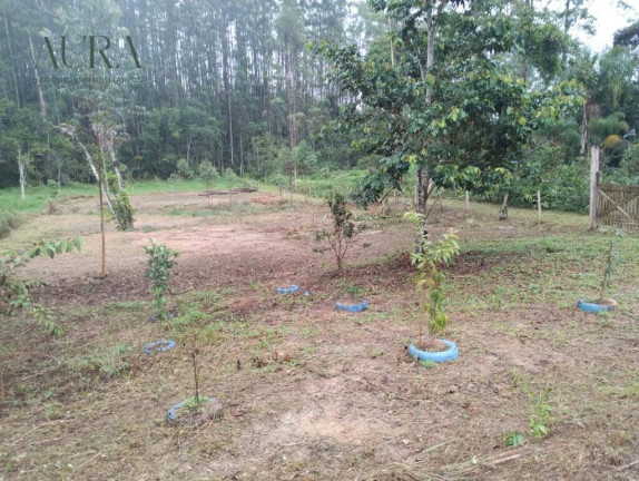 Imagem Terreno à Venda, 2.000 m² em Itinga - Barra Velha Imagem Terreno à Venda, 2.000 m² em Itinga - Barra Velha