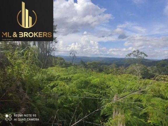 Imagem Imóvel à Venda, 20.000 m² em Sao Silvestre - Campo Largo
