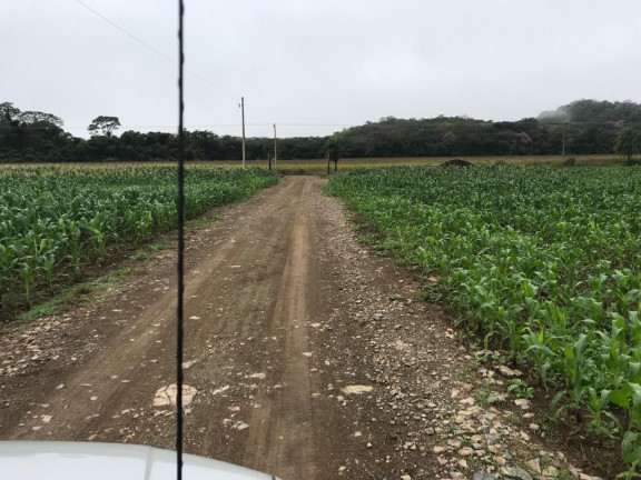 Imagem Fazenda à Venda, 750 m² em Rural - Bela Vista Imagem Fazenda à Venda, 750 m² em Rural - Bela Vista