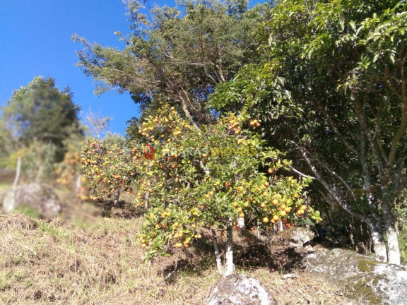 Terreno à Venda, 68.000 m² em Bairro Pires - Sapucaí-mirim