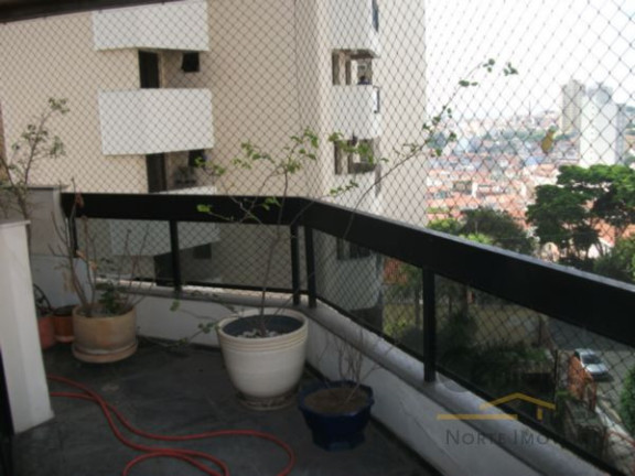 Imagem Apartamento com 3 Quartos à Venda, 218 m² em Jardim São Paulo (zona Norte) - São Paulo Imagem Apartamento com 3 Quartos à Venda, 218 m² em Jardim São Paulo (zona Norte) - São Paulo