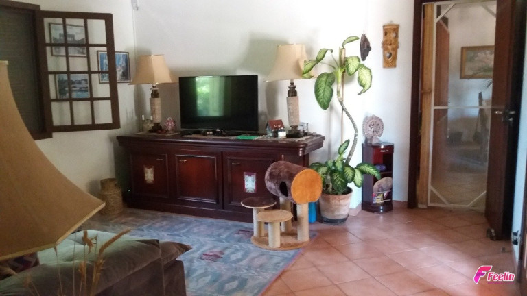 Imagem Casa com 4 Quartos à Venda, 220 m² em São João Do Rio Vermelho - Florianópolis Imagem Casa com 4 Quartos à Venda, 220 m² em São João Do Rio Vermelho - Florianópolis
