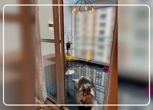 Imagem Apartamento com 3 Quartos à Venda, 85 m² em Jardim Tupanci - Barueri