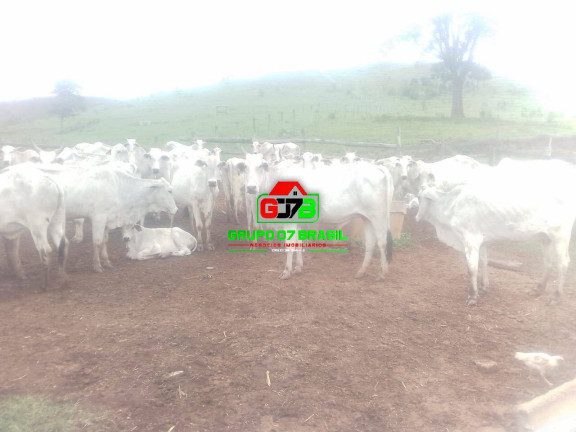 Fazenda à Venda, 13 m² em Centro - Paraibuna