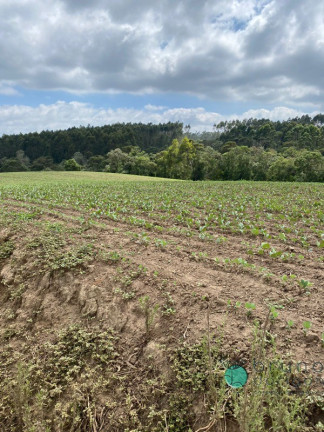 Imagem Imóvel à Venda, 1.600.000 m² em Zona Rural - Vidal Ramos Imagem Imóvel à Venda, 1.600.000 m² em Zona Rural - Vidal Ramos