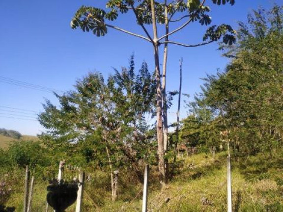 Imagem Terreno à Venda, 531 m² em Pouso Alegre - Santa Isabel Imagem Terreno à Venda, 531 m² em Pouso Alegre - Santa Isabel