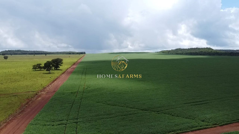 Imagem Imóvel com 3 Quartos à Venda, 1.349 m² em Centro - Primavera Do Leste Imagem Imóvel com 3 Quartos à Venda, 1.349 m² em Centro - Primavera Do Leste