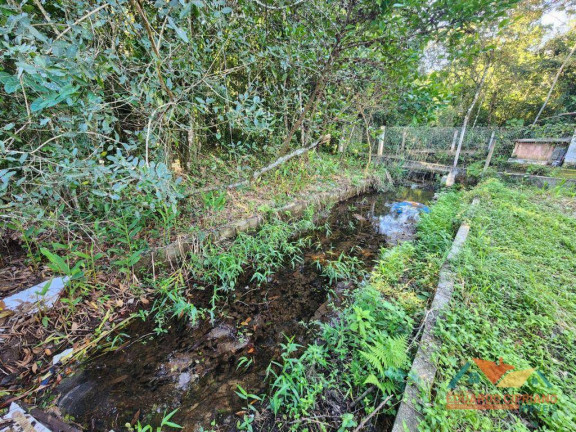 Imagem Terreno à Venda, 270 m² em Massaguaçu - Caraguatatuba Imagem Terreno à Venda, 270 m² em Massaguaçu - Caraguatatuba