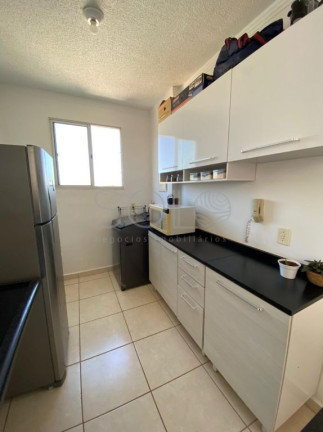 Imagem Apartamento com 2 Quartos à Venda, 51 m² em Jardim Das Flores - Araraquara Imagem Apartamento com 2 Quartos à Venda, 51 m² em Jardim Das Flores - Araraquara