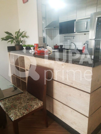 Imagem Apartamento com 3 Quartos à Venda, 65 m² em Vila Maria Alta - São Paulo Imagem Apartamento com 3 Quartos à Venda, 65 m² em Vila Maria Alta - São Paulo