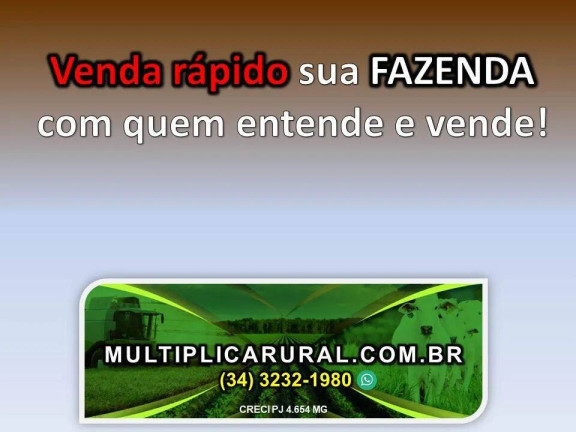 Imagem Fazenda à Venda, 407 m² em Go - Mambaí Imagem Fazenda à Venda, 407 m² em Go - Mambaí