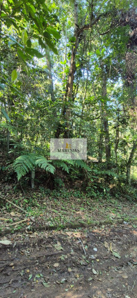 Terreno à Venda, 300 m² em Maresias - São Sebastião