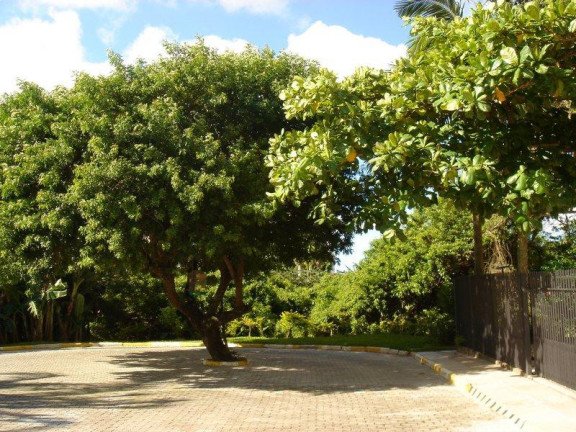 Imagem Casa com 4 Quartos para Alugar,  em Canasvieiras - Florianópolis