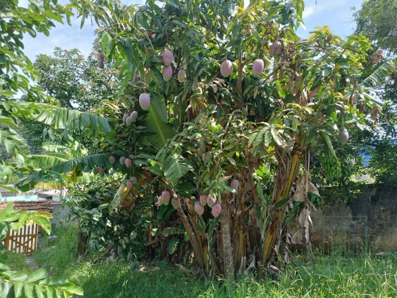 Imagem Casa com 2 Quartos à Venda, 112 m² em Terra Preta (terra Preta) - Mairiporã