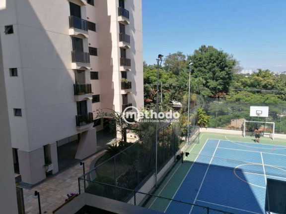 Imagem Apartamento com 3 Quartos à Venda, 117 m² em Jardim Das Paineiras - Campinas Imagem Apartamento com 3 Quartos à Venda, 117 m² em Jardim Das Paineiras - Campinas