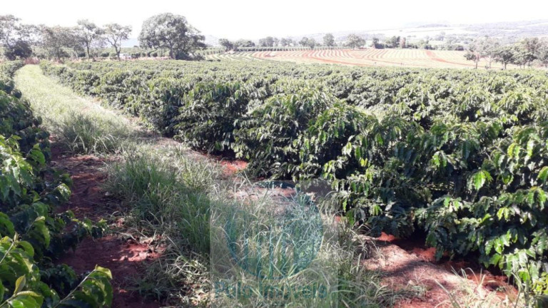 Imagem Imóvel com 3 Quartos à Venda, 11 m² em Rural - São Sebastião Do Paraíso Imagem Imóvel com 3 Quartos à Venda, 11 m² em Rural - São Sebastião Do Paraíso