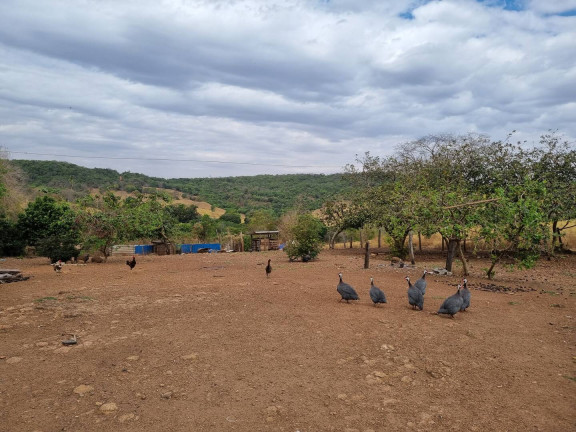 Imagem Fazenda à Venda, 9 m² em Interlândia - Anápolis