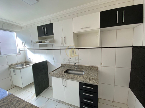 Imagem Apartamento com 2 Quartos para Alugar, 52 m² em Vila Boa Esperança - São José Do Rio Preto Imagem Apartamento com 2 Quartos para Alugar, 52 m² em Vila Boa Esperança - São José Do Rio Preto