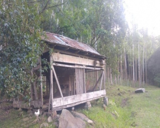 Imagem Imóvel com 4 Quartos à Venda, 168 m² em Vila Cristina - Caxias Do Sul