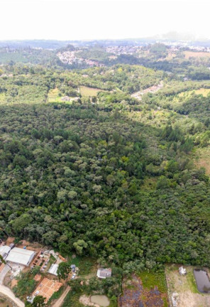 Imagem Terreno à Venda, 19.600 m² em Colônia Faria - Colombo Imagem Terreno à Venda, 19.600 m² em Colônia Faria - Colombo