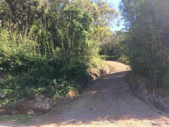Imagem Terreno à Venda, 61.000 m² em Ambrósio - Garopaba