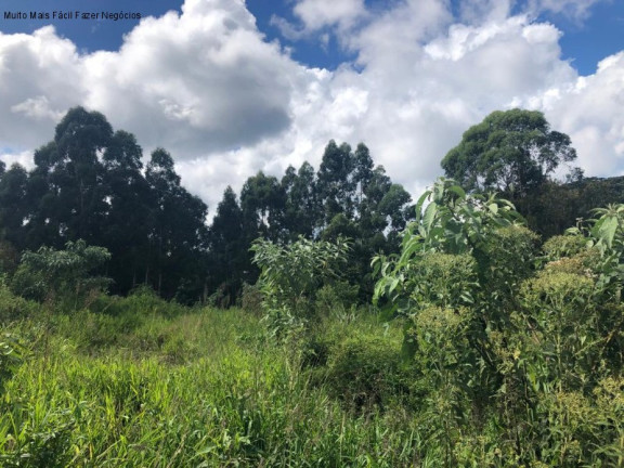 Imagem Terreno à Venda, 360 m² em Br 116 - Nova Petrópolis Imagem Terreno à Venda, 360 m² em Br 116 - Nova Petrópolis
