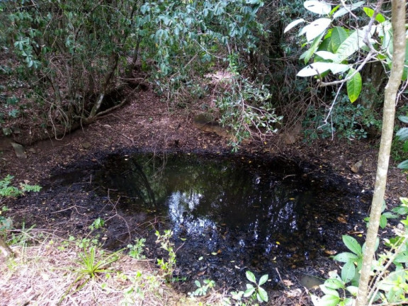 Imagem Terreno à Venda, 6 m² em Linha Temerária - Nova Petrópolis