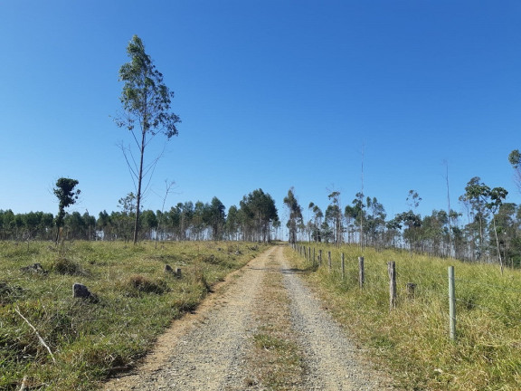 Imagem Imóvel à Venda,  em Centro - Lorena