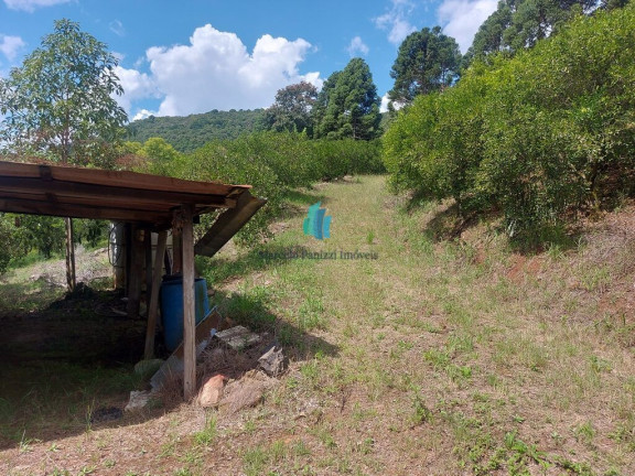 Imagem Terreno à Venda, 109.312 m² em Linha Tiradentes - Veranópolis