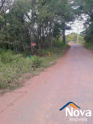 Imagem Imóvel à Venda,  em Linha Araripe - Nova Petrópolis